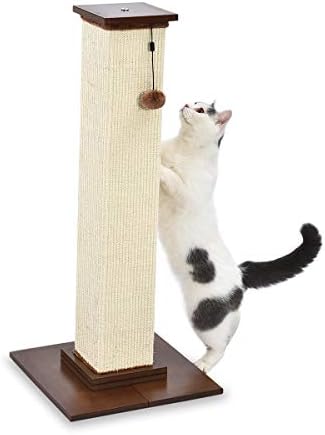 Amazon Basics Cat Tree Tower With Scratching Post And Hammock Bed for Indoor Cat - 40.6 x 51 x 40.6 Cenitmeters, Grey