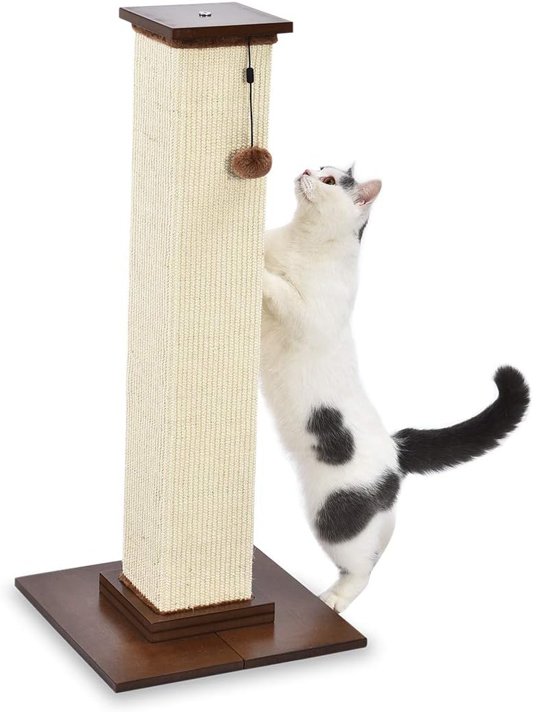 Amazon Basics Cat Tree Tower With Scratching Post And Hammock Bed for Indoor Cat - 40.6 x 51 x 40.6 Cenitmeters, Grey