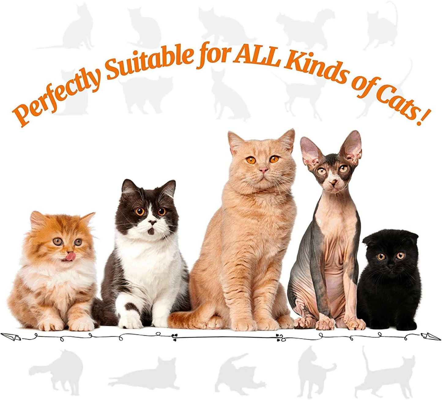 Ownfume 38 Pcs Cat Toys,Kitten Toys,Cat Toys Interactive Accessories for Indoor Cats,Cat Tunnel,Variety Teaser Wand with Feathers,Cat Toys for Kittens Biting,Catnip Fish,Mice,Balls for Cat Pet Lovers