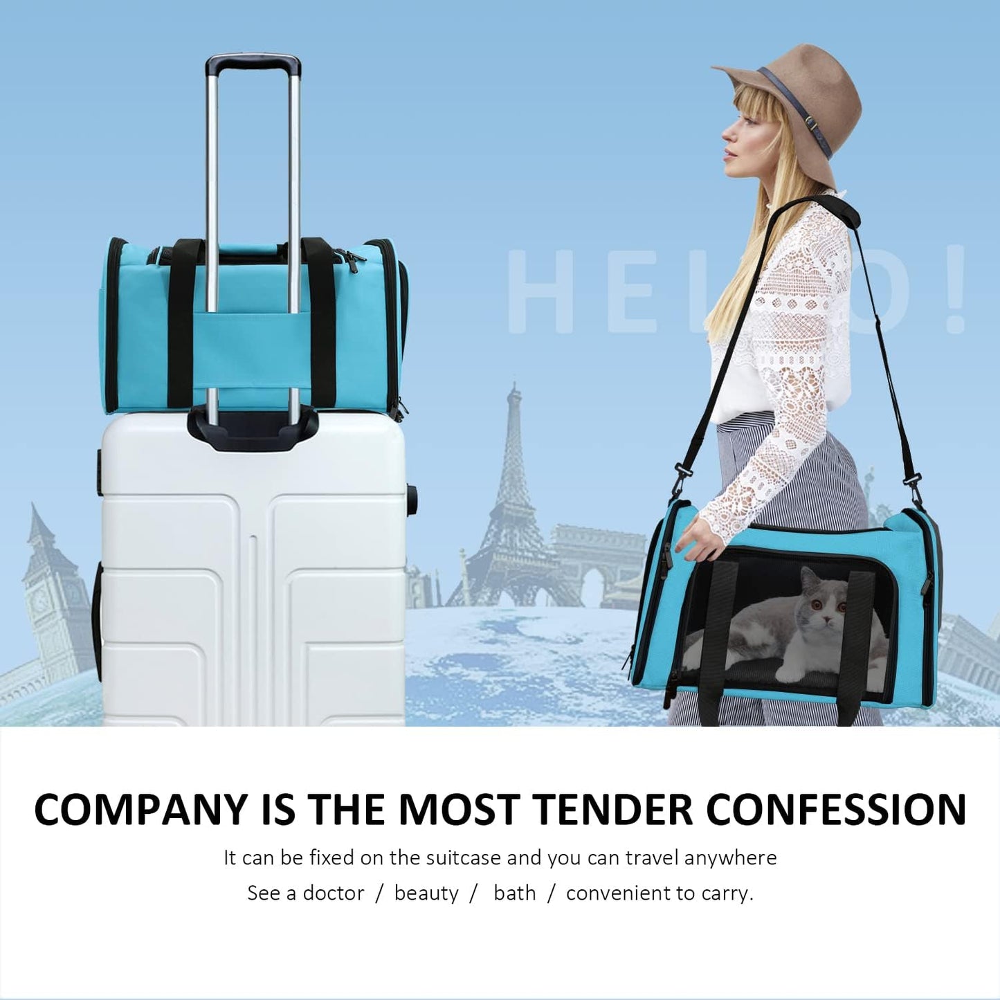 Henkelion Cat Carriers Dog Carrier Pet for Small Medium Cats Dogs Puppies up to 15 Lbs, TSA Airline Approved Soft Sided, Collapsible Travel Puppy - Black