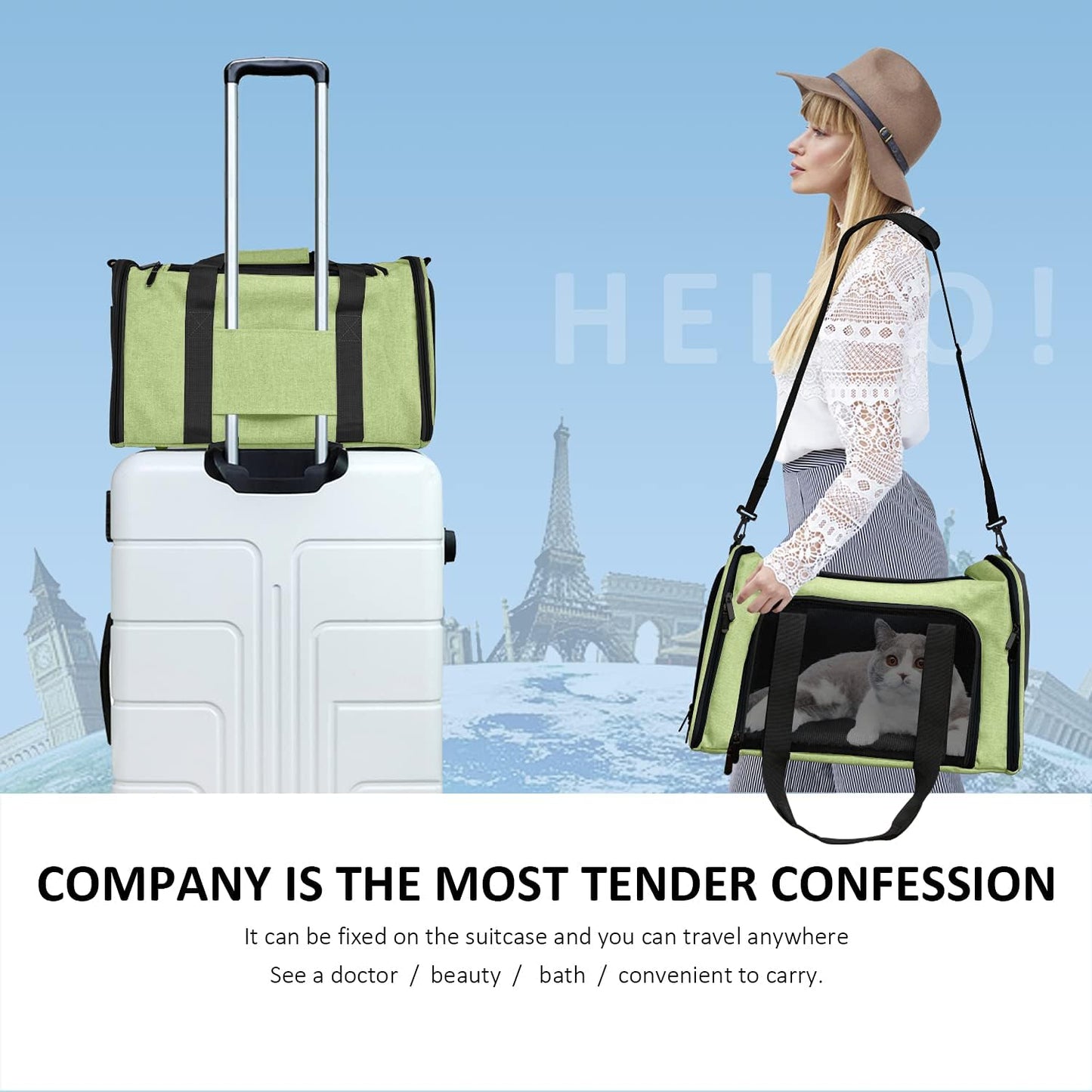Henkelion Cat Carriers Dog Carrier Pet for Small Medium Cats Dogs Puppies up to 15 Lbs, TSA Airline Approved Soft Sided, Collapsible Travel Puppy - Black