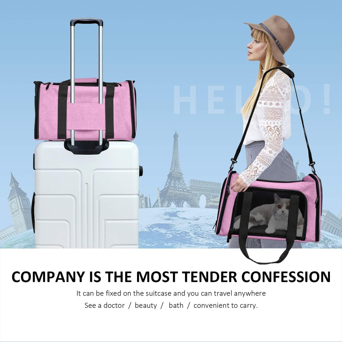 Henkelion Cat Carriers Dog Carrier Pet for Small Medium Cats Dogs Puppies up to 15 Lbs, TSA Airline Approved Soft Sided, Collapsible Travel Puppy - Black
