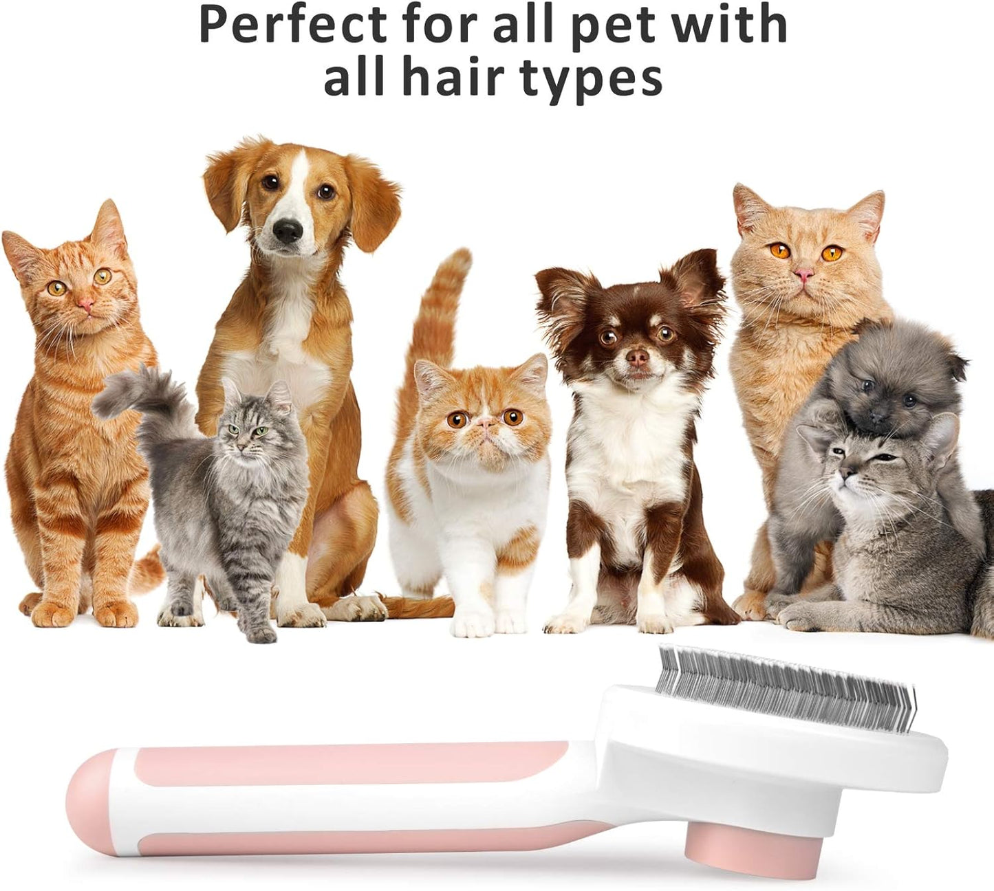 Baytion Pet Grooming Brush, Cats Dogs Brushes for Long Haired & Short Hair, Supple Stainless Steel Bristles Quick Cleaning of the Brush to Remove Tangles Dead Undercoat and Dirt