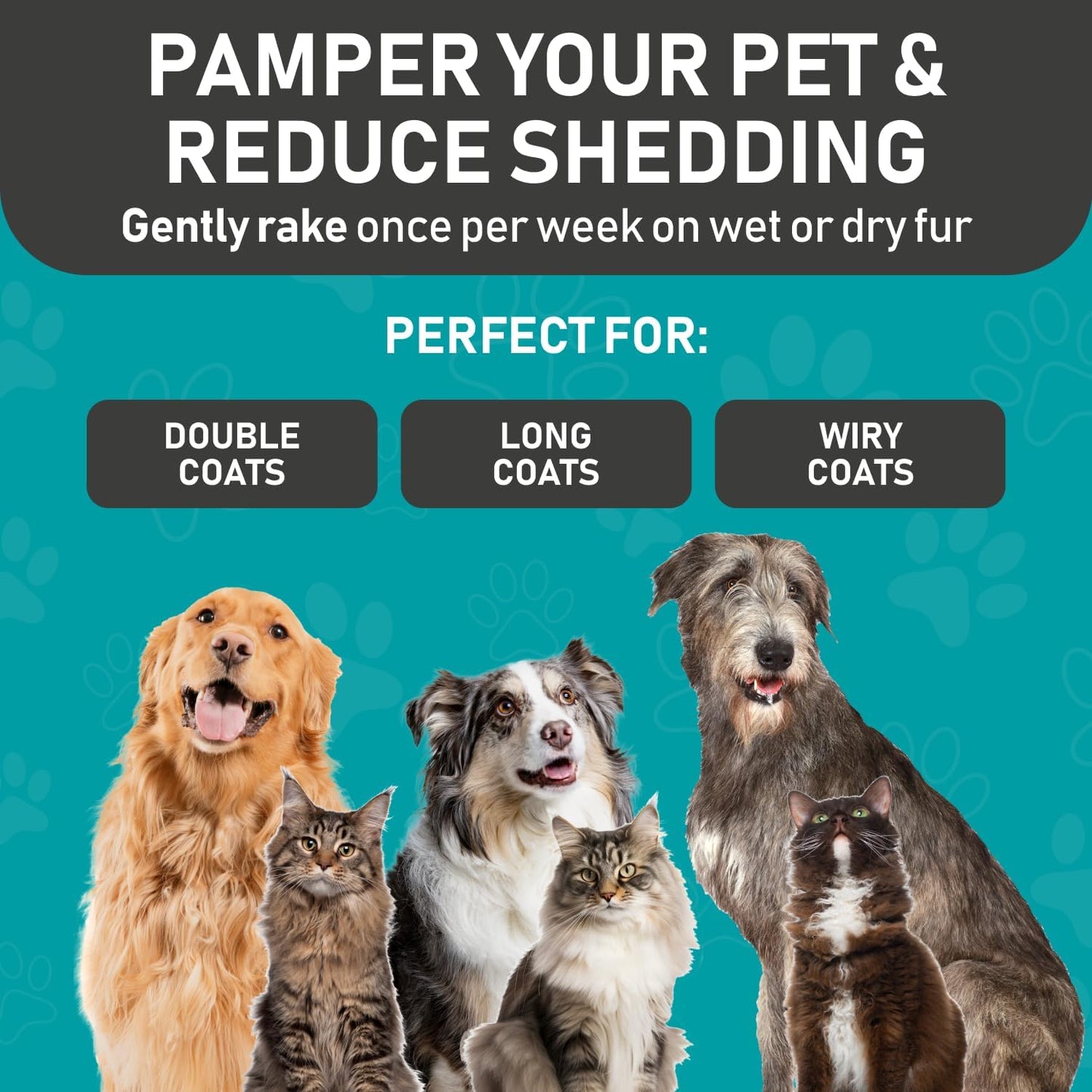 Maxpower Planet Pet Grooming Brush - Double Sided Shedding and Dematting Undercoat Rake Comb for Dogs and Cats,Extra Wide, Blue, Dog Grooming Brush, Dog Shedding Brush