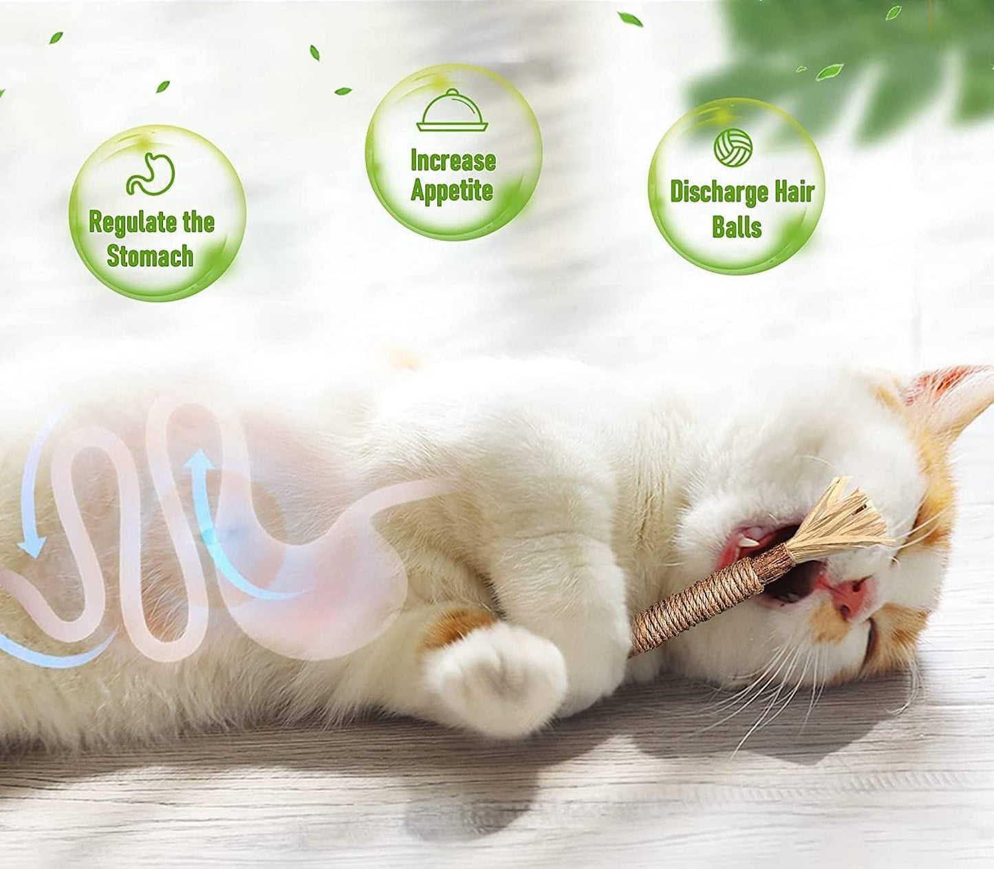 Sawanork 3 PCS Cat Chew Toys, Kitten Chew Sticks for Aggressive Chewers, Silvervine Chew Stick Toy, Large Size Catnip Toys