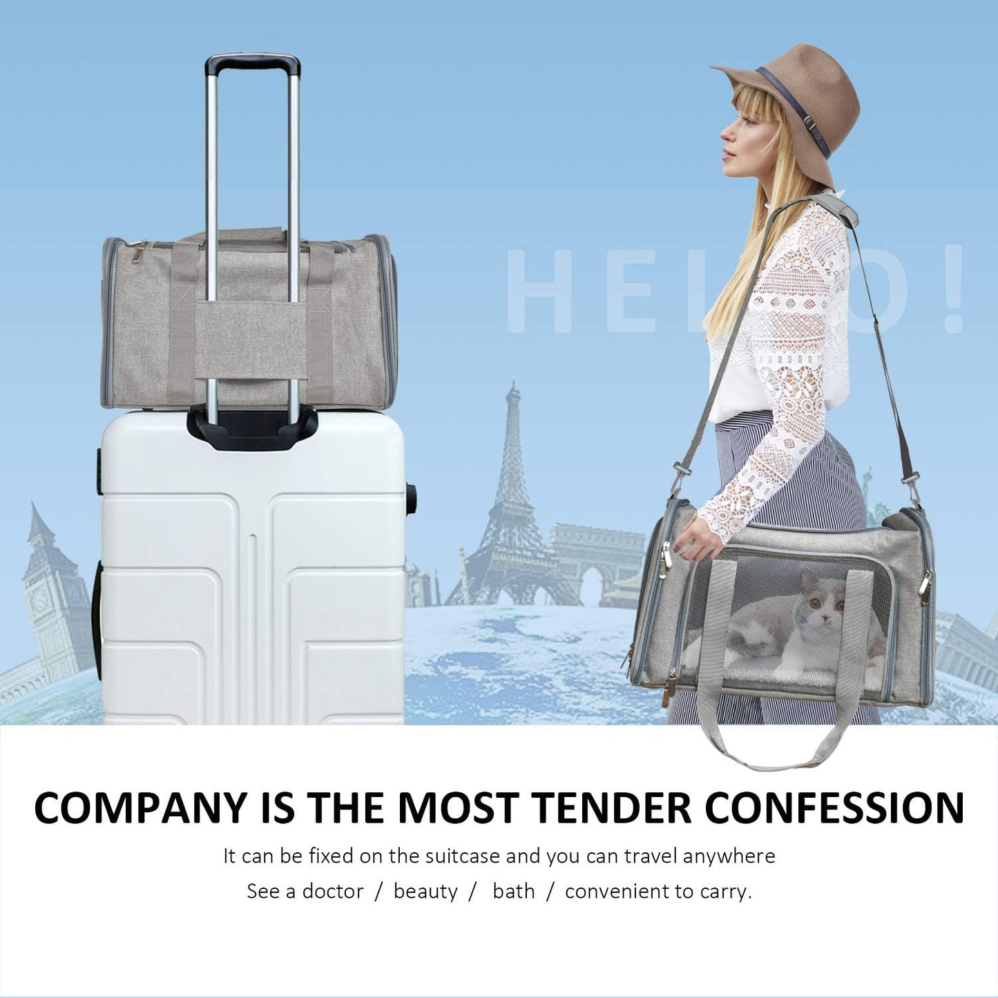 Henkelion Cat Carriers Dog Carrier Pet for Small Medium Cats Dogs Puppies up to 15 Lbs, TSA Airline Approved Soft Sided, Collapsible Travel Puppy - Black