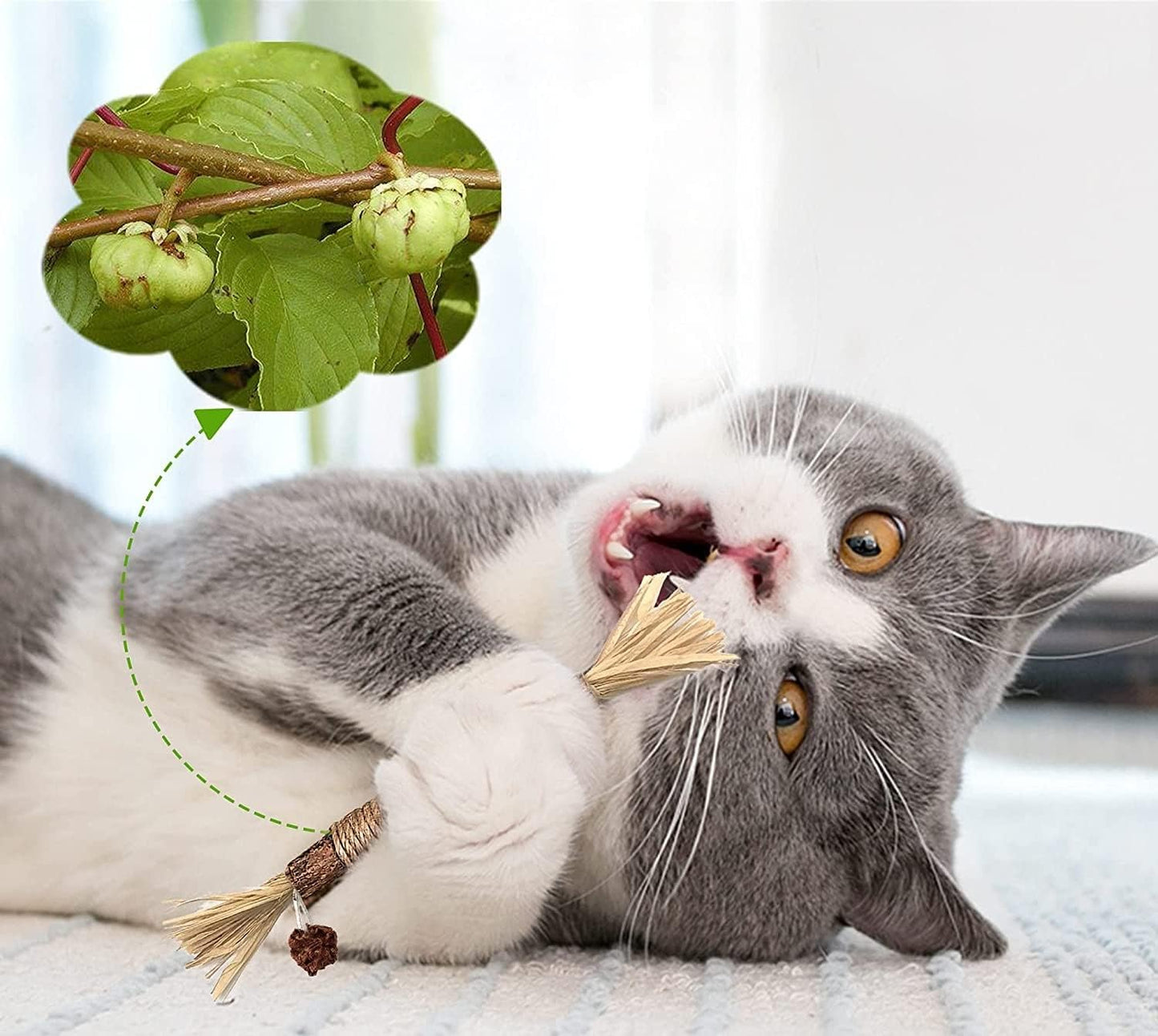 Sawanork 3 PCS Cat Chew Toys, Kitten Chew Sticks for Aggressive Chewers, Silvervine Chew Stick Toy, Large Size Catnip Toys