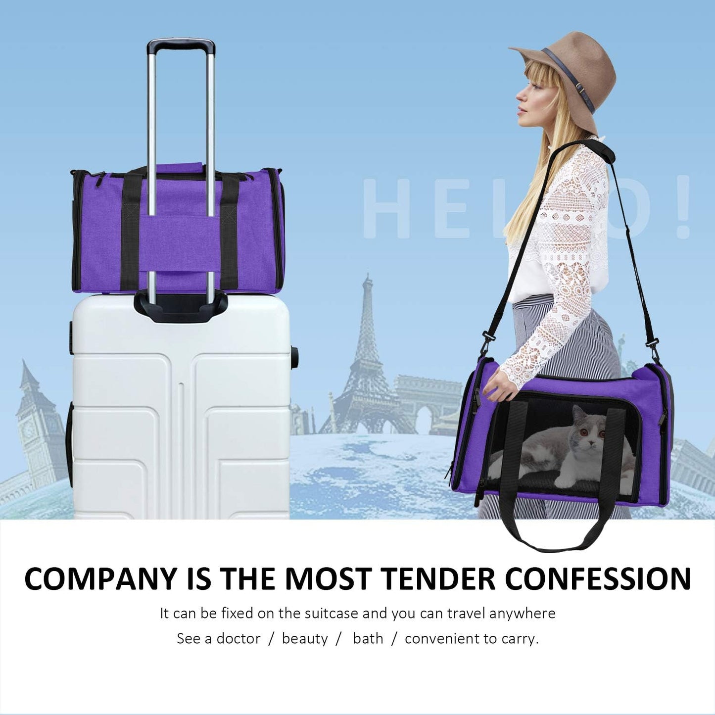 Henkelion Cat Carriers Dog Carrier Pet for Small Medium Cats Dogs Puppies up to 15 Lbs, TSA Airline Approved Soft Sided, Collapsible Travel Puppy - Black