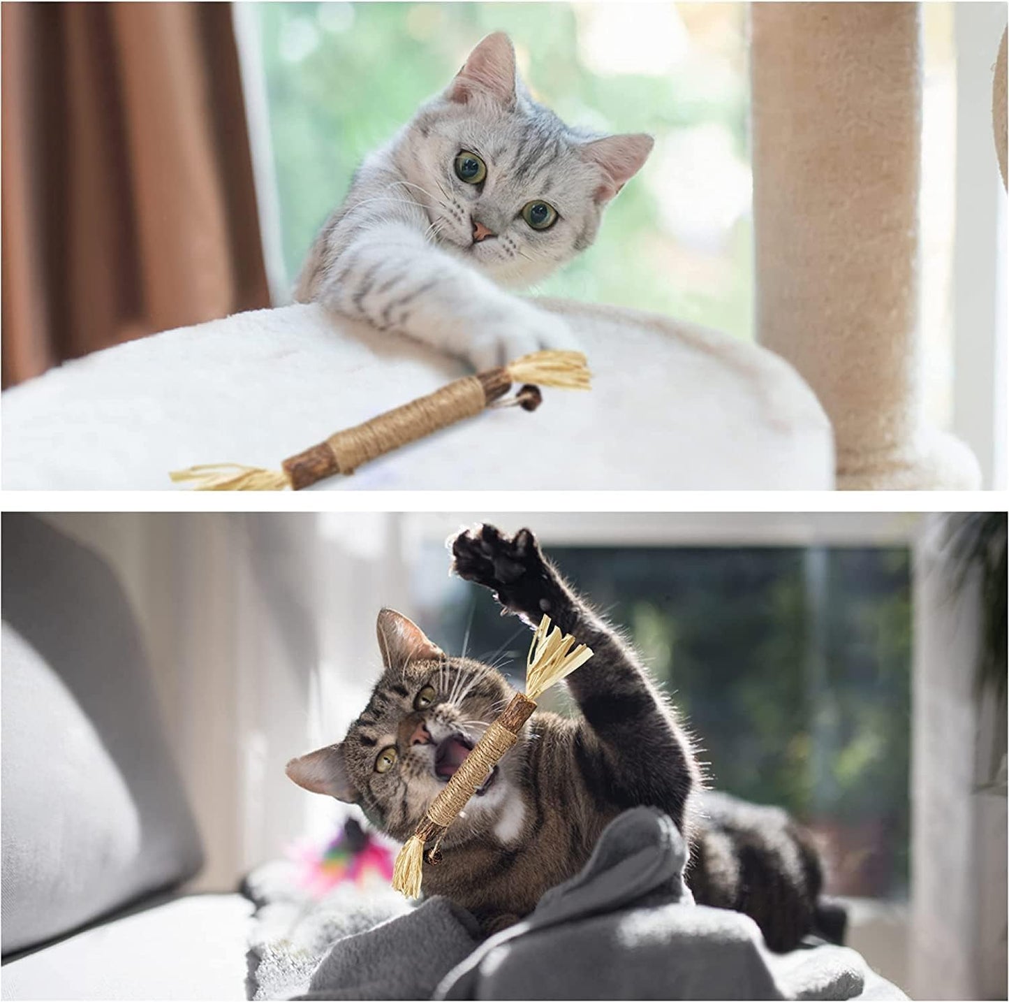 Sawanork 3 PCS Cat Chew Toys, Kitten Chew Sticks for Aggressive Chewers, Silvervine Chew Stick Toy, Large Size Catnip Toys