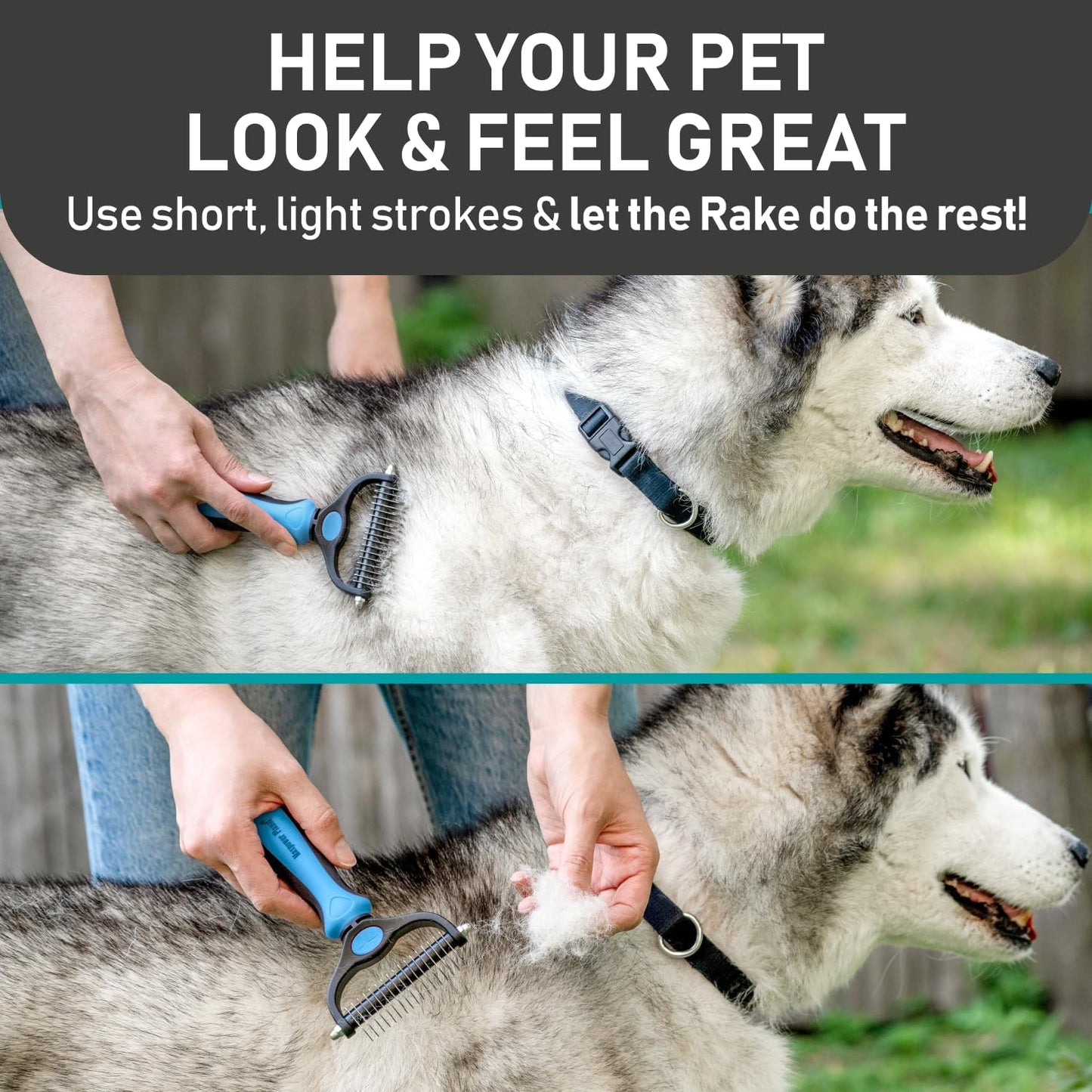 Maxpower Planet Pet Grooming Brush - Double Sided Shedding and Dematting Undercoat Rake Comb for Dogs and Cats,Extra Wide, Blue, Dog Grooming Brush, Dog Shedding Brush