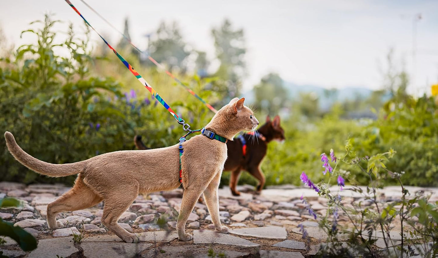 pidan Cat Harness and Leash Set, Cats Escape Proof - Adjustable Kitten Harness for Large Small Cats, Lightweight Soft Walking Travel Petsafe Harness (Multicolor)