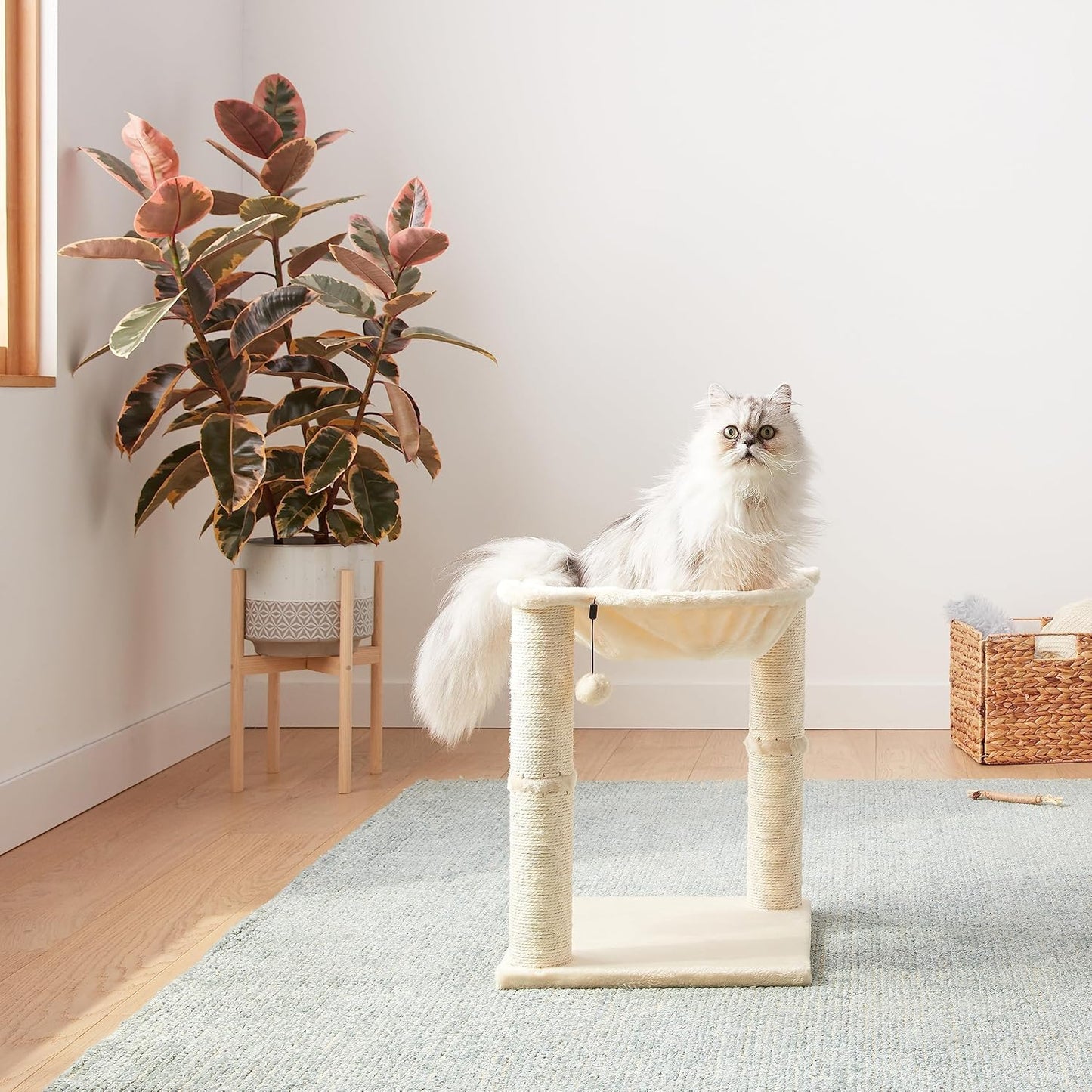 Amazon Basics Cat Tree Tower With Scratching Post And Hammock Bed for Indoor Cat - 40.6 x 51 x 40.6 Cenitmeters, Grey