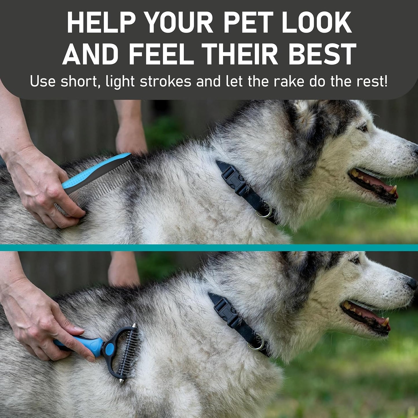 Maxpower Planet Pet Grooming Brush - Double Sided Shedding and Dematting Undercoat Rake Comb for Dogs and Cats,Extra Wide, Blue, Dog Grooming Brush, Dog Shedding Brush