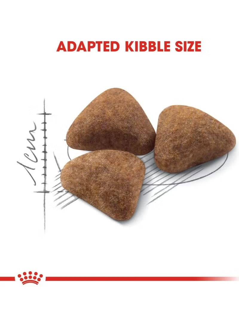 Royal Canin Indoor Dry Food – Tailored Nutrition for Indoor Adult Cats 4Kg