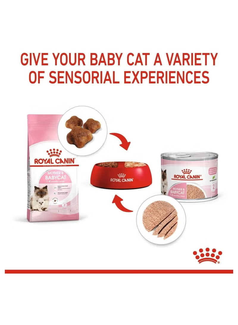 Royal Canin Feline Health Nutrition Mother & Babycat Mousse (WET FOOD