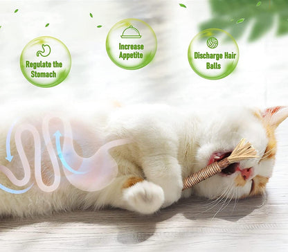 Sawanork 3 PCS Cat Chew Toys, Kitten Chew Sticks for Aggressive Chewers, Silvervine Chew Stick Toy, Large Size Catnip Toys