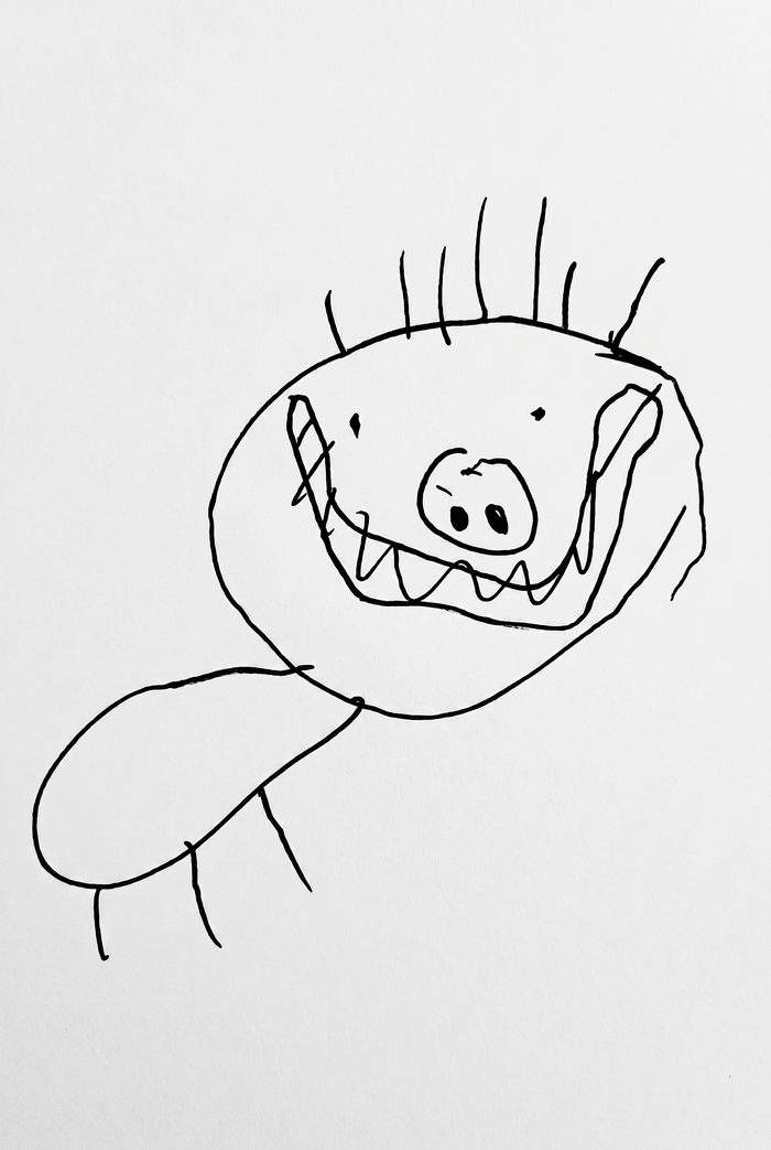 A pen drawing of a creature that is almost all head, with a pig snout, spiky hair, a huge toothy grin and a tiny body with thin legs