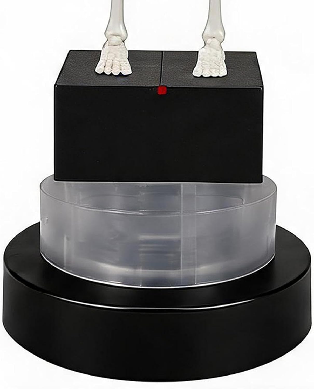 "Dancing Skeleton" Aquarium Decor Set - Includes Air Tube Connector